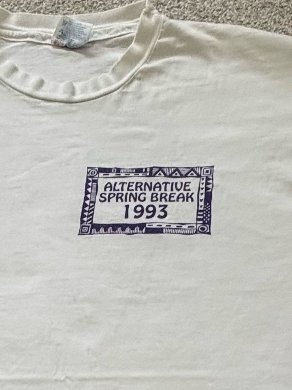 Vintage 1993 University of Michigan Alternative Spring Break Single Stitch T